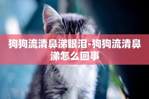 狗狗流清鼻涕眼淚-狗狗流清鼻涕怎么回事