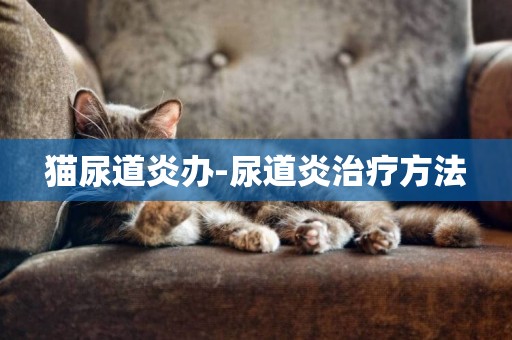 貓尿道炎辦-尿道炎治療方法
