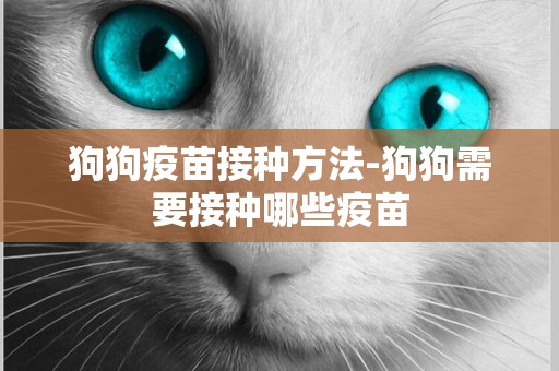 狗狗疫苗接種方法-狗狗需要接種哪些疫苗