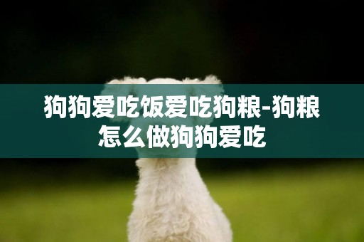 狗狗愛吃飯愛吃狗糧-狗糧怎么做狗狗愛吃