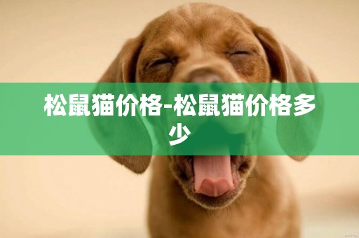 松鼠貓價格-松鼠貓價格多少