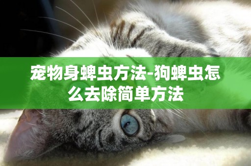 寵物身蜱蟲方法-狗蜱蟲怎么去除簡單方法