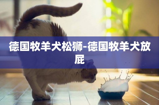 德國牧羊犬松獅-德國牧羊犬放屁