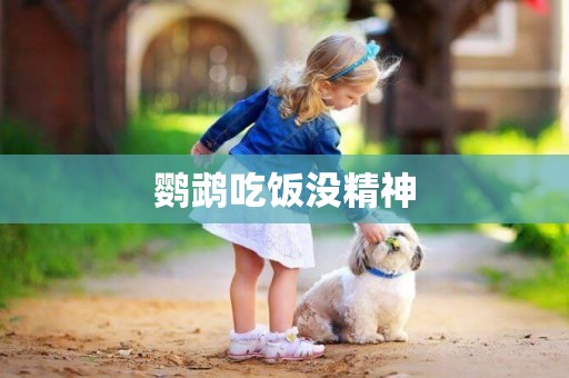 鸚鵡吃飯沒精神