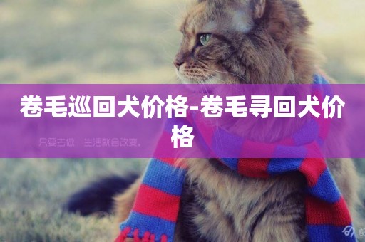 卷毛巡回犬價格-卷毛尋回犬價格