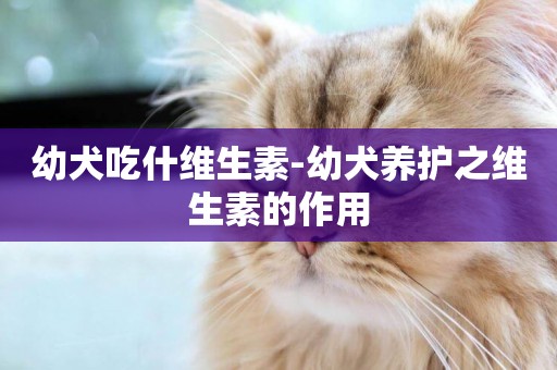 幼犬吃什維生素-幼犬養護之維生素的作用