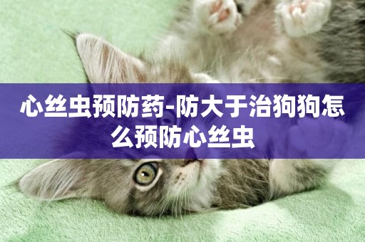 心絲蟲預防藥-防大于治狗狗怎么預防心絲蟲
