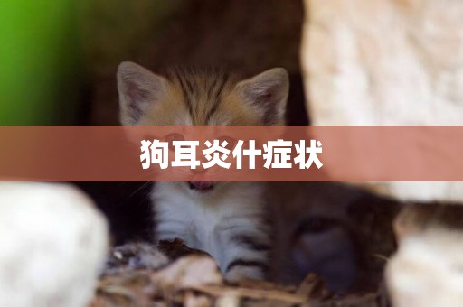 狗耳炎什癥狀