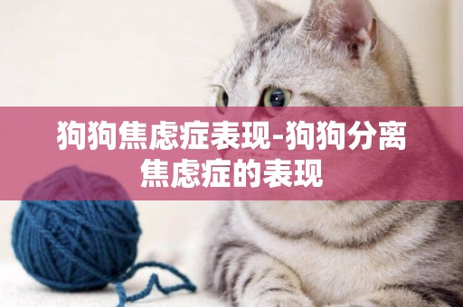 狗狗焦慮癥表現-狗狗分離焦慮癥的表現
