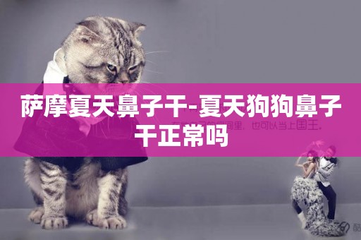 薩摩夏天鼻子干-夏天狗狗鼻子干正常嗎