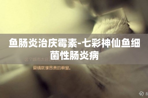 魚腸炎治慶霉素-七彩神仙魚細菌性腸炎病