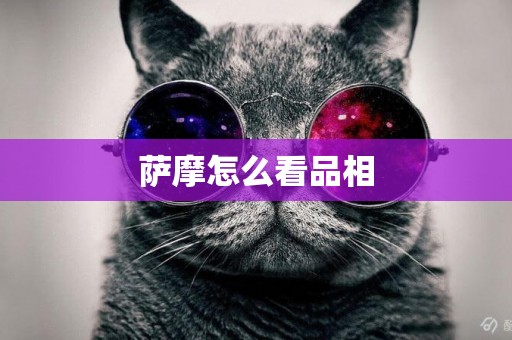 薩摩怎么看品相