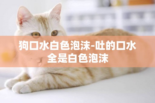 狗口水白色泡沫-吐的口水全是白色泡沫