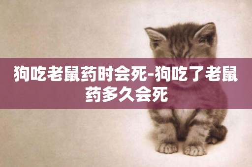 狗吃老鼠藥時會死-狗吃了老鼠藥多久會死