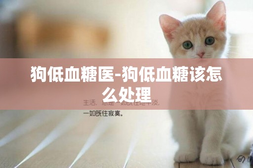 狗低血糖醫-狗低血糖該怎么處理