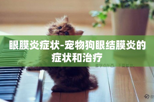 眼膜炎癥狀-寵物狗眼結膜炎的癥狀和治療
