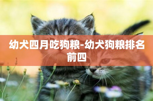 幼犬四月吃狗糧-幼犬狗糧排名前四