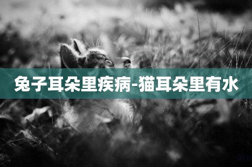 兔子耳朵里疾病-貓耳朵里有水