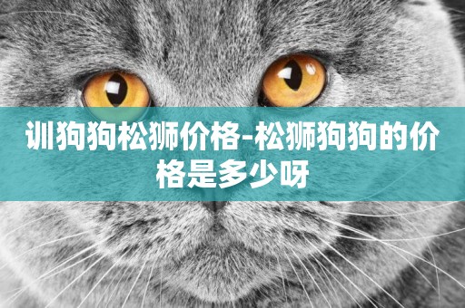 訓狗狗松獅價格-松獅狗狗的價格是多少呀