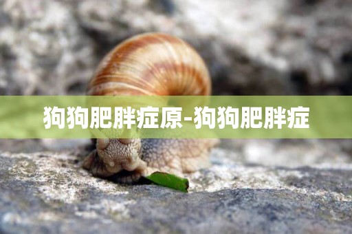 狗狗肥胖癥原-狗狗肥胖癥