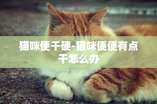 貓咪便干硬-貓咪便便有點干怎么辦