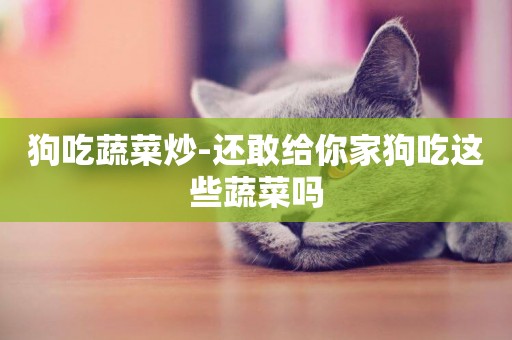 狗吃蔬菜炒-還敢給你家狗吃這些蔬菜嗎
