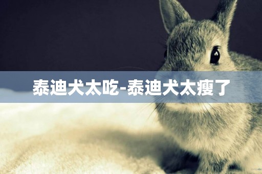 泰迪犬太吃-泰迪犬太瘦了