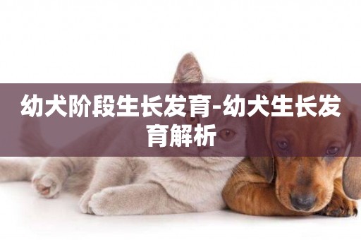 幼犬階段生長發育-幼犬生長發育解析