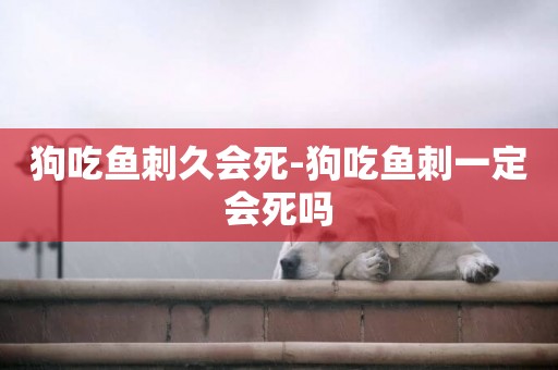 狗吃魚刺久會死-狗吃魚刺一定會死嗎