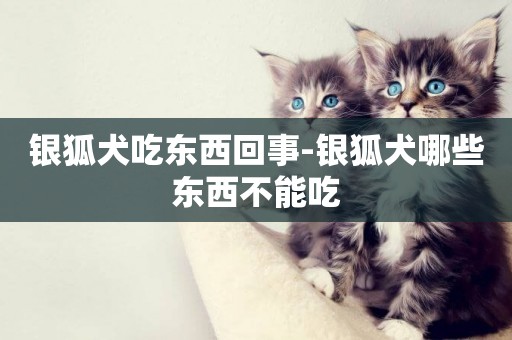 銀狐犬吃東西回事-銀狐犬哪些東西不能吃