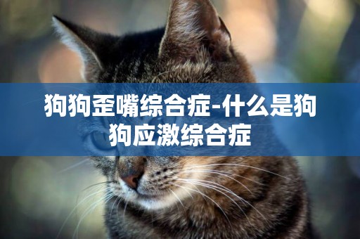 狗狗歪嘴綜合癥-什么是狗狗應激綜合癥