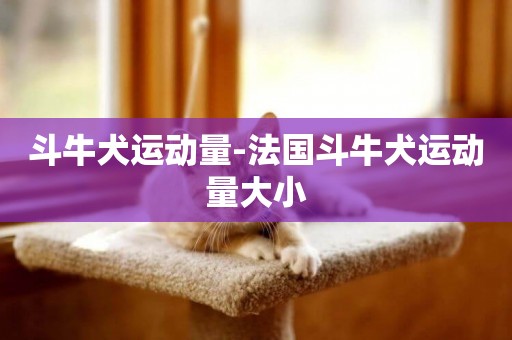 斗牛犬運動量-法國斗牛犬運動量大小