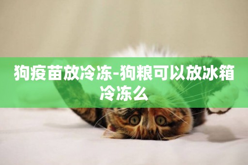 狗疫苗放冷凍-狗糧可以放冰箱冷凍么
