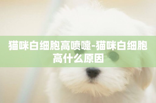 貓咪白細胞高噴嚏-貓咪白細胞高什么原因