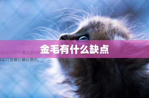 金毛有什么缺點