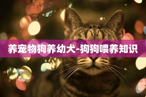 養寵物狗養幼犬-狗狗喂養知識