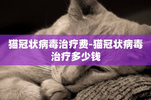 貓冠狀病毒治療費-貓冠狀病毒治療多少錢