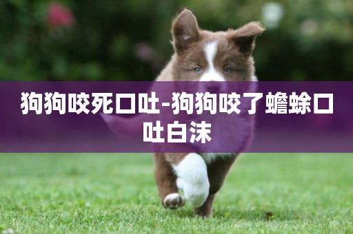 狗狗咬死口吐-狗狗咬了蟾蜍口吐白沫