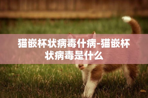 貓嵌杯狀病毒什病-貓嵌杯狀病毒是什么