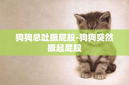 狗狗總吐撅屁股-狗狗突然撅起屁股