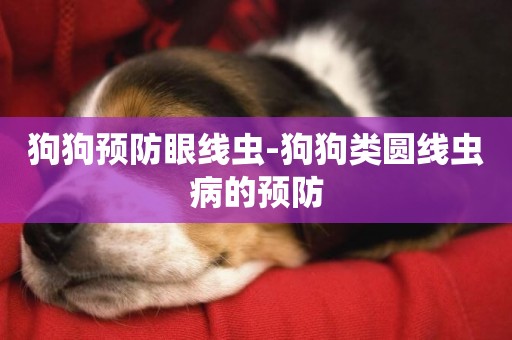 狗狗預防眼線蟲-狗狗類圓線蟲病的預防