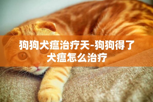 狗狗犬瘟治療天-狗狗得了犬瘟怎么治療