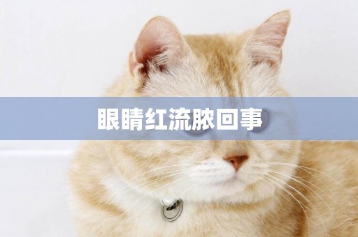 眼睛紅流膿回事