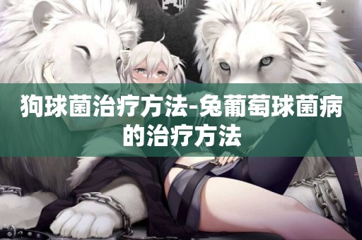 狗球菌治療方法-兔葡萄球菌病的治療方法