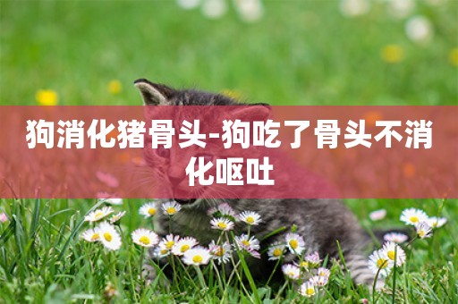 狗消化豬骨頭-狗吃了骨頭不消化嘔吐