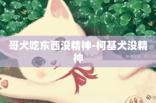 哥犬吃東西沒精神-柯基犬沒精神