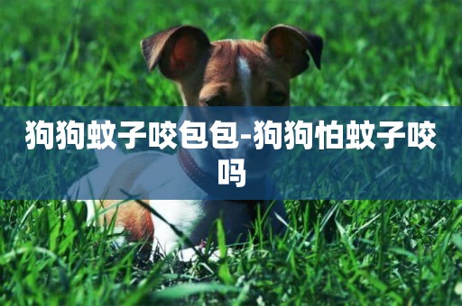 狗狗蚊子咬包包-狗狗怕蚊子咬嗎