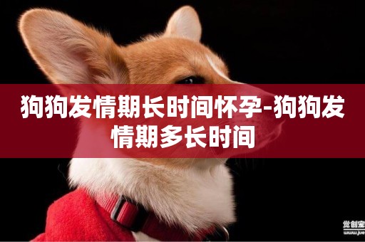 狗狗發情期長時間懷孕-狗狗發情期多長時間