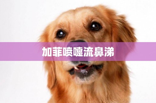 加菲噴嚏流鼻涕