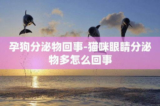 孕狗分泌物回事-貓咪眼睛分泌物多怎么回事